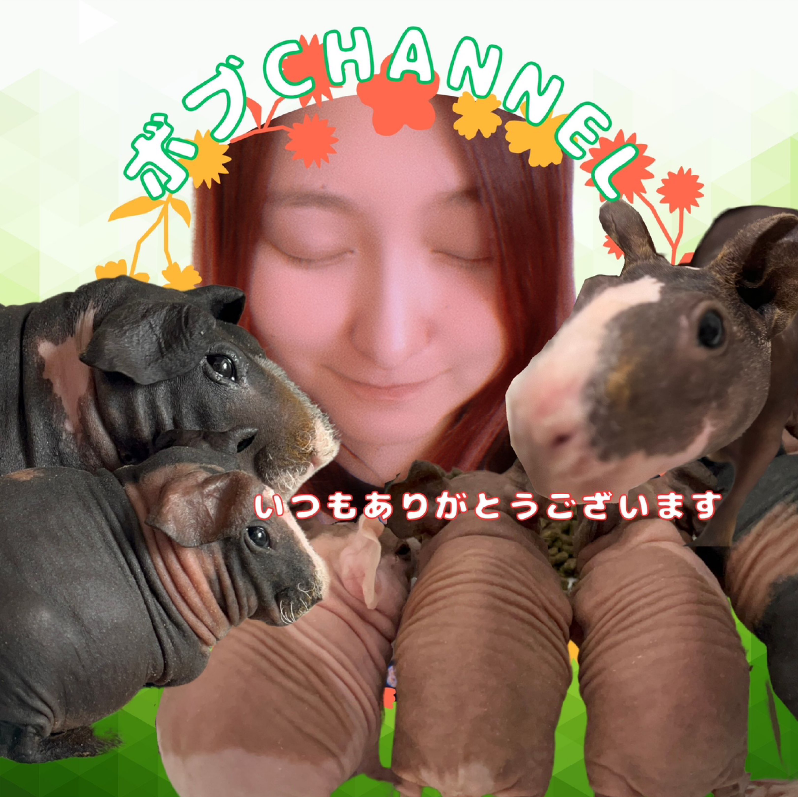 Watch ボブchannel's profile and the latest news on 17LIVE - Live