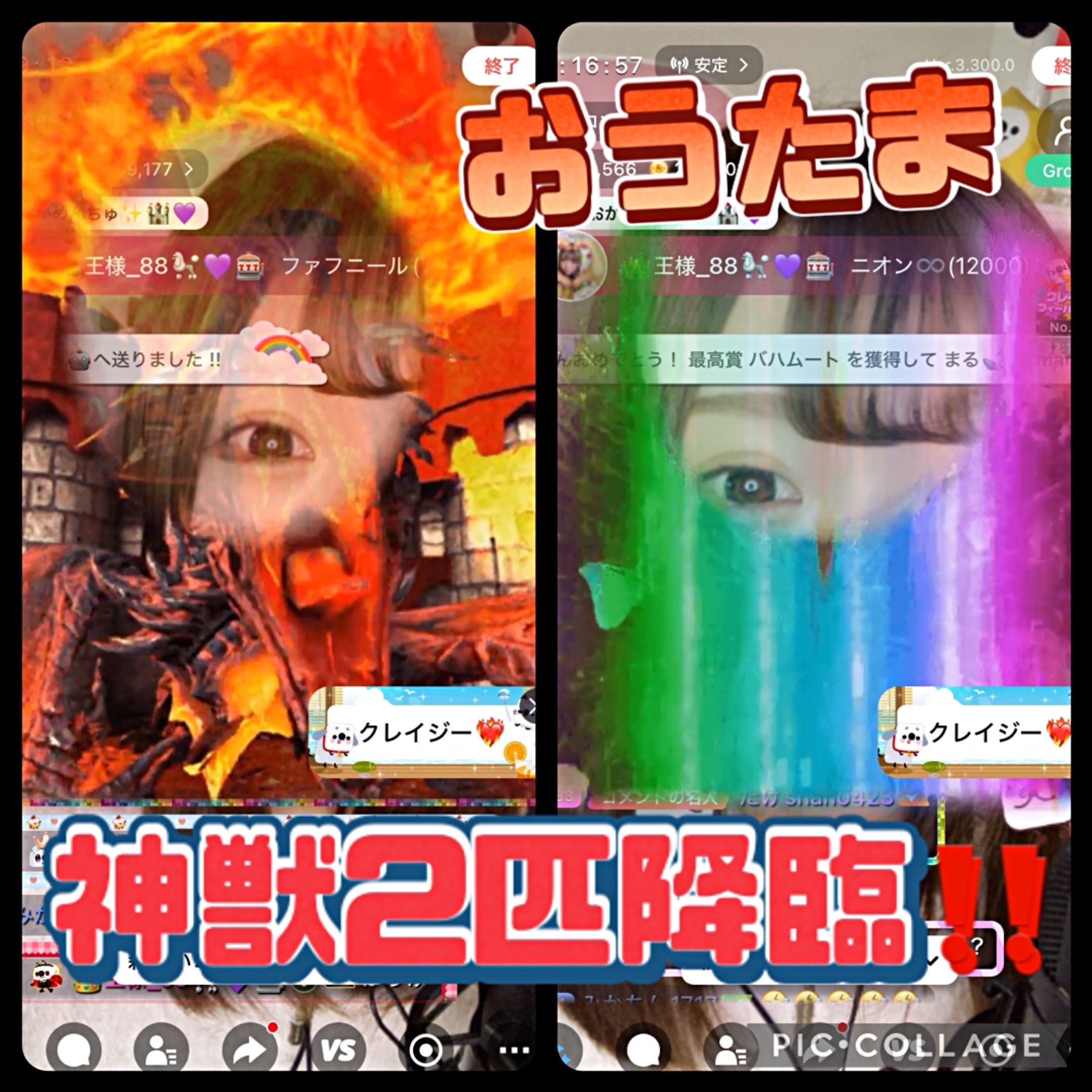 おかめ_OKAME🐩💜🎰のプロファイルと最新情報をチェックしましょう