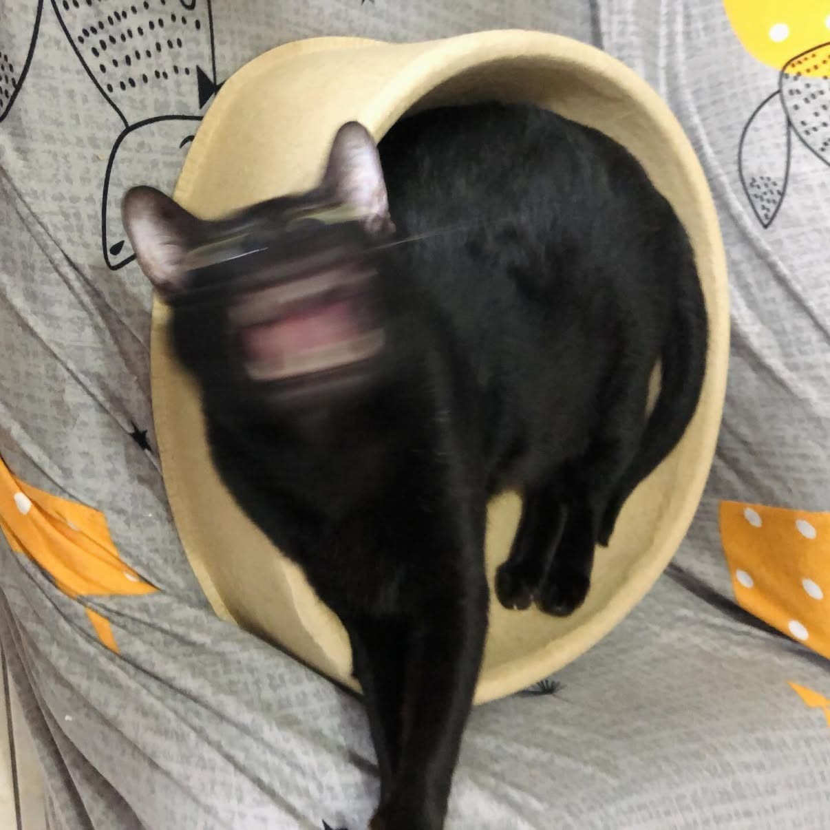 最佳失焦王