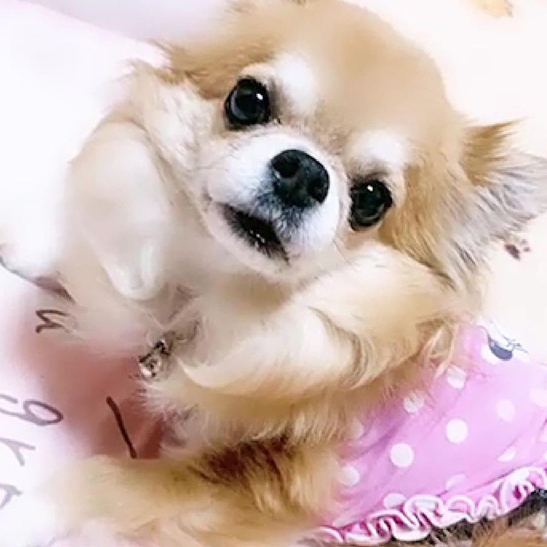 たくみん👑⚔nakaji🎬のプロファイルと最新情報をチェックしましょう