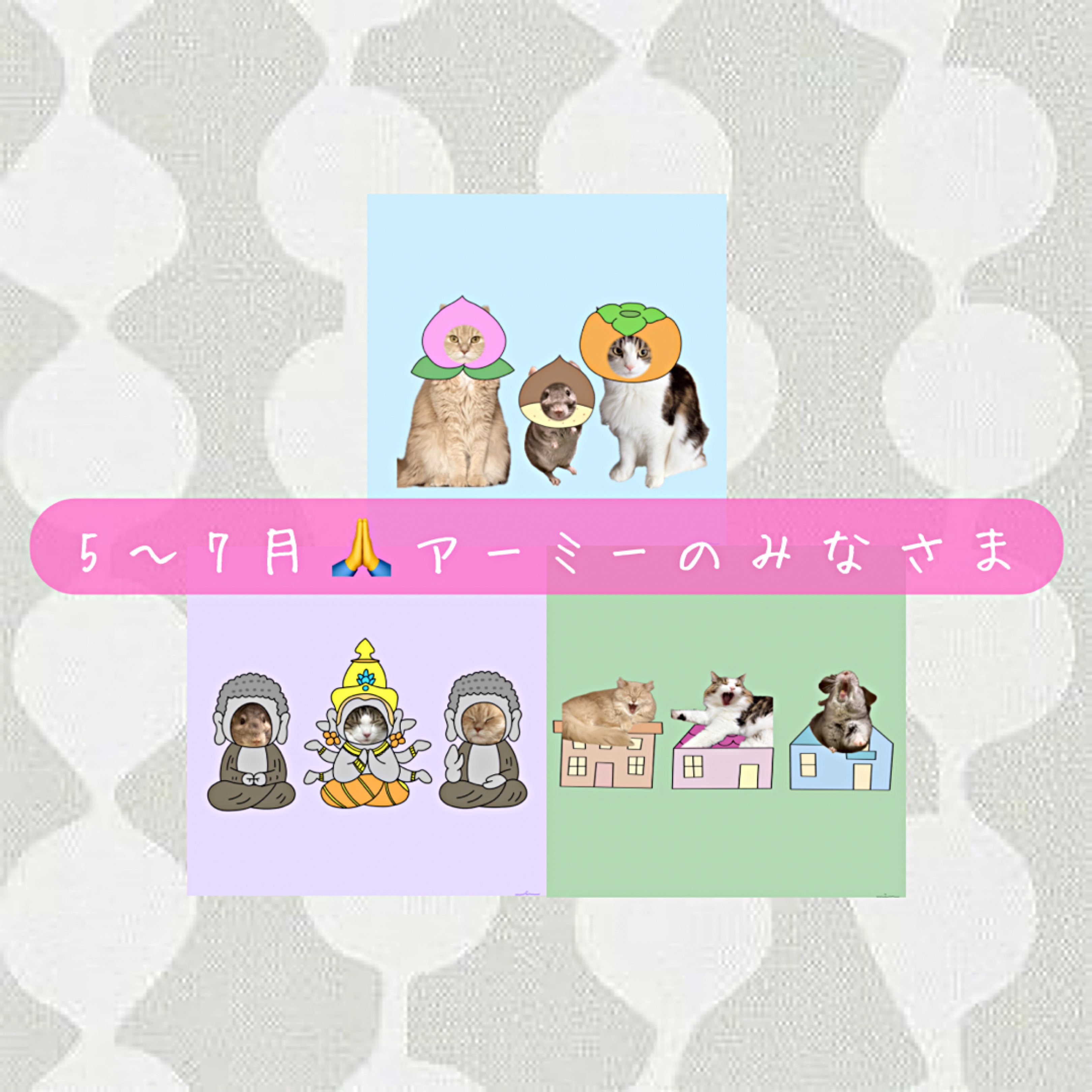 🐭みん🦁🐯chan🧵🦔 - ライブ配信アプリ 17LIVE(ワンセブンライブ