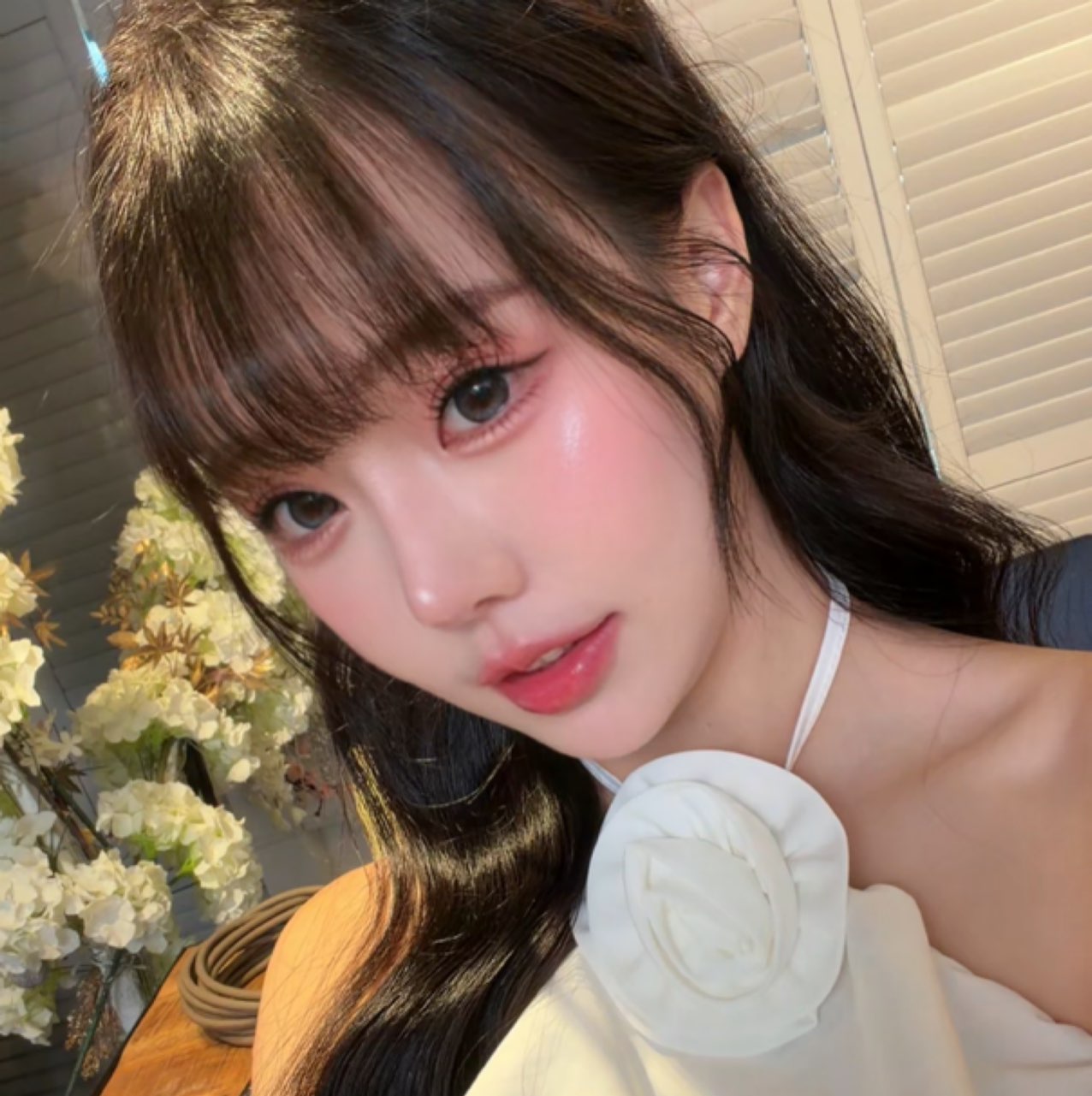 凡妮莎莎Vanessa